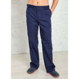 Брюки мужские WW710, синий, 46
