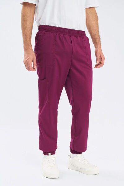 Джоггеры мужские Тезис TZ625, винный, 48 - фото 1