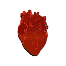 Значок "Сердечная мышца", оргстекло