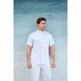 Рубашка мужская, со стойкой, с коротким рукавом, белый, 50
