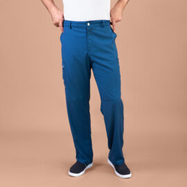 Брюки мужские Тезис TZ610, синий, 46