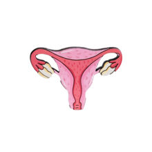 Значок "Маточка с бутонами"