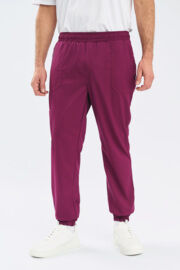 Джоггеры мужские Тезис TZ625, винный, 46