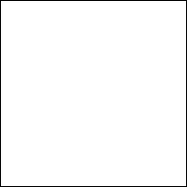 Брюки мужские Dickies DK015, белый, L - фото 5