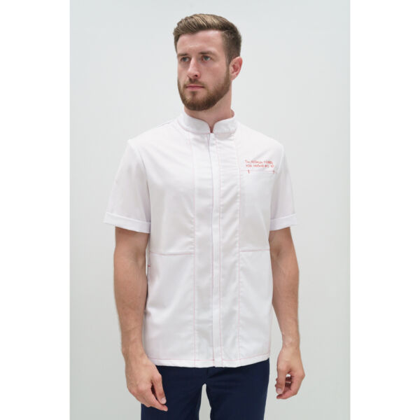 Рубашка мужская на молнии Тезис TZ700, принт