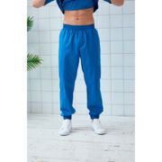 Джоггеры мужские Dr. Nice, голубой, 54