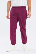 Джоггеры мужские Тезис TZ625, винный, 46