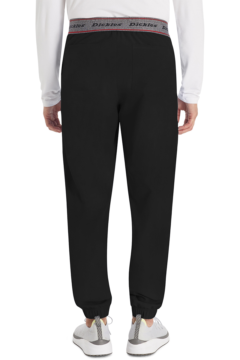 Брюки мужские Dickies DK217, черный, L