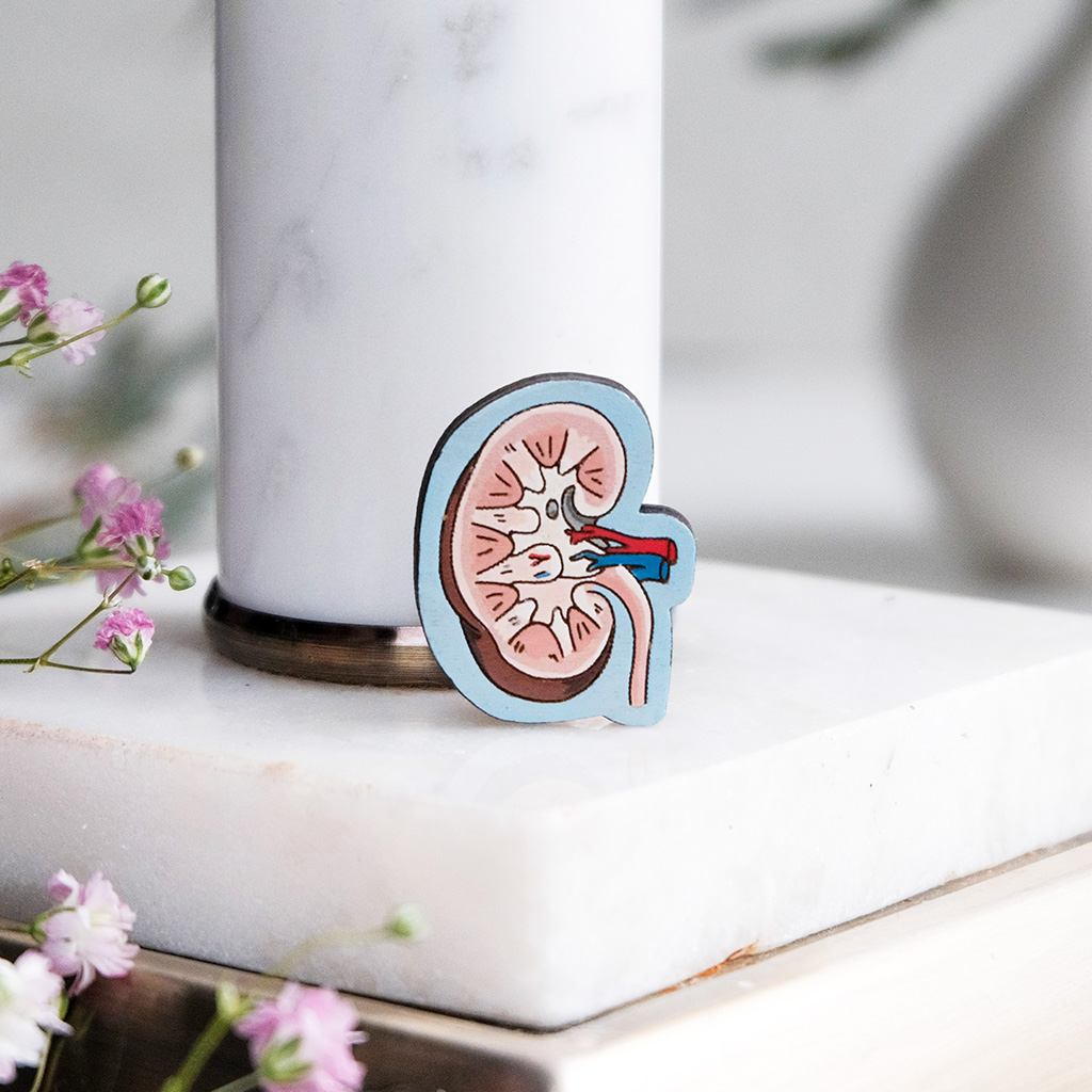 Значок "Почка"