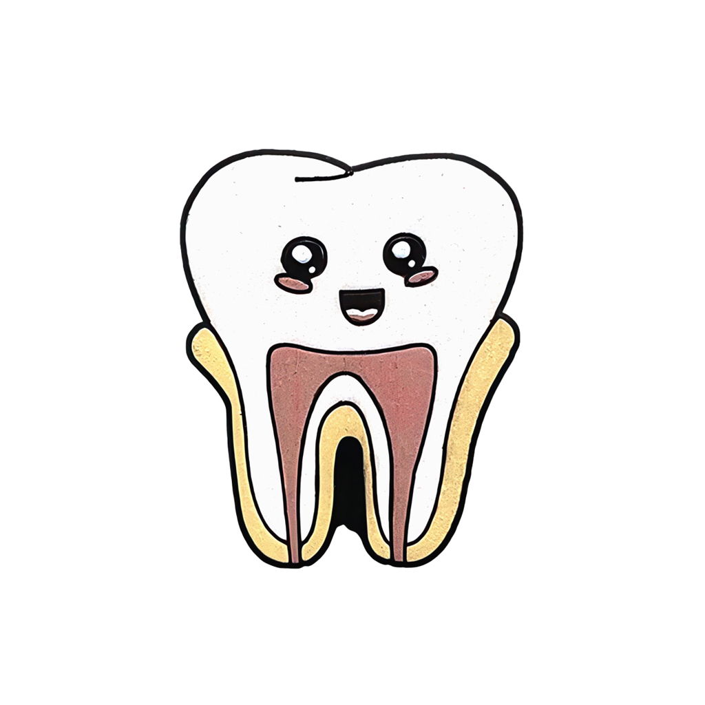 Значок "Строение зуба"