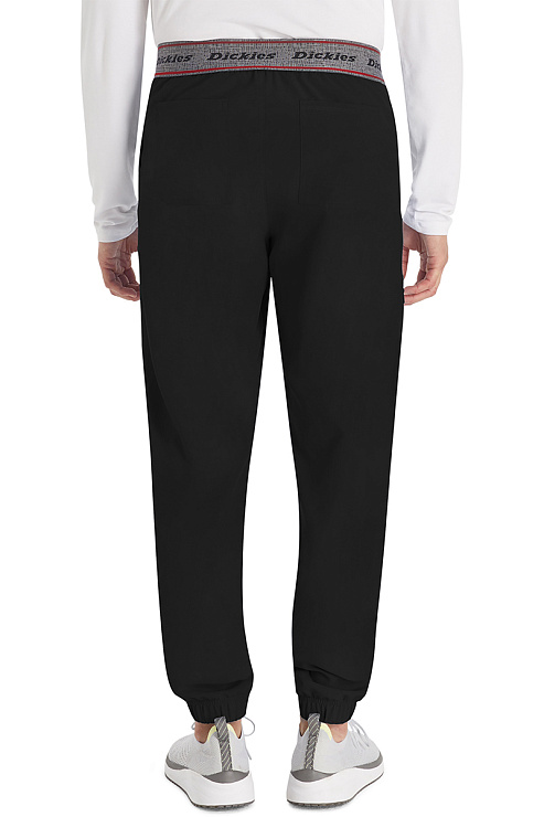 Брюки мужские Dickies DK217, черный, L