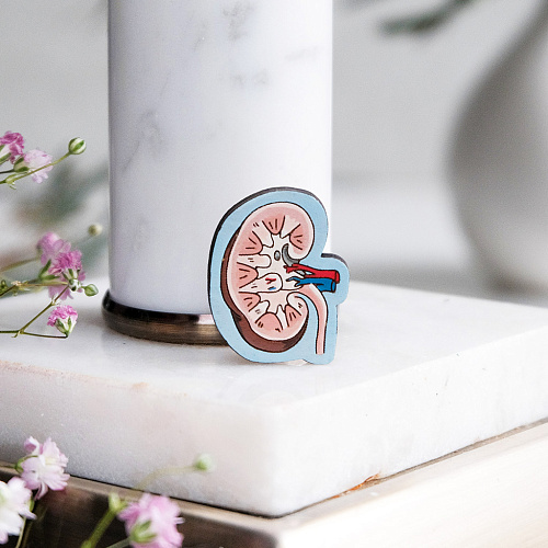 Значок "Почка"