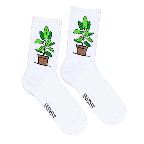 Носки женские, "Фикус", белый, 36-40