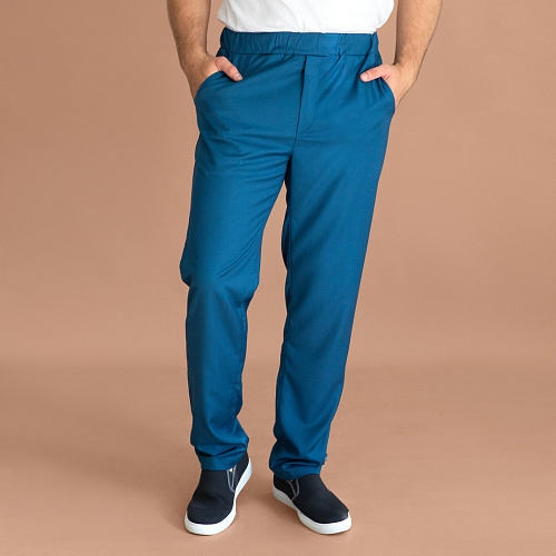 Брюки мужские Тезис TZ620, синий, 58