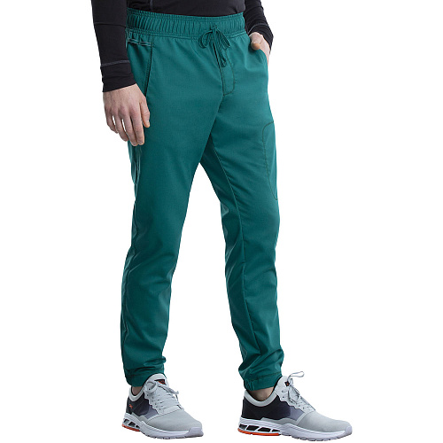 Брюки мужские Cherokee WW012, зеленый,  L