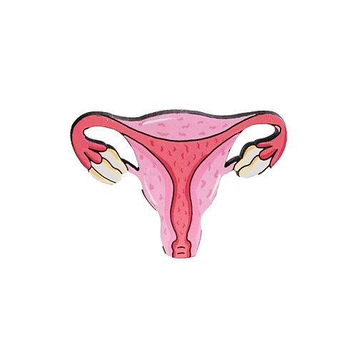 Значок "Маточка с бутонами"