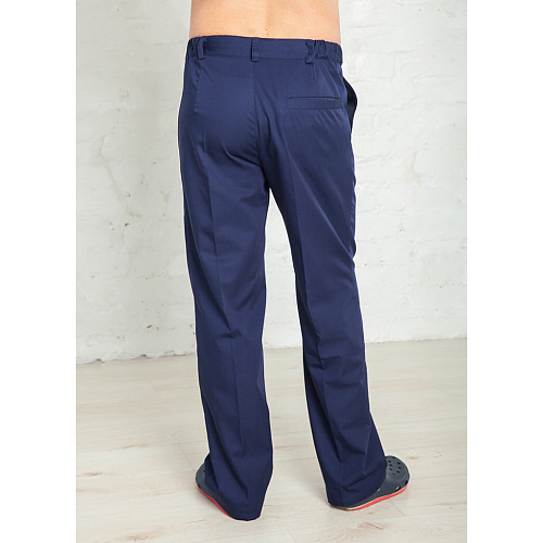 Брюки мужские WW710, синий, 50