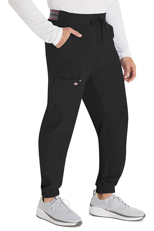 Брюки мужские Dickies DK217, черный, L