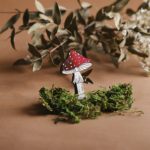 Значок "Мухомор"