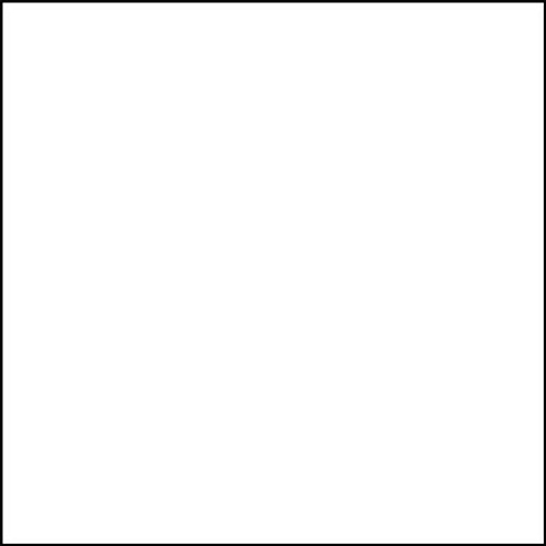 Брюки мужские Dickies DK015, белый, XL