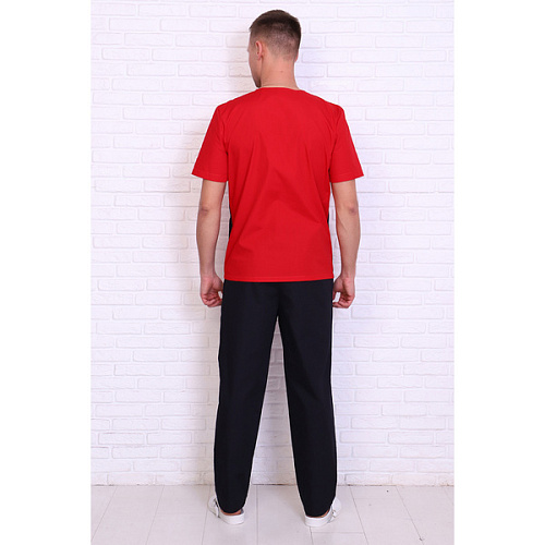 Брюки мужские 239ТСК, черный, 52