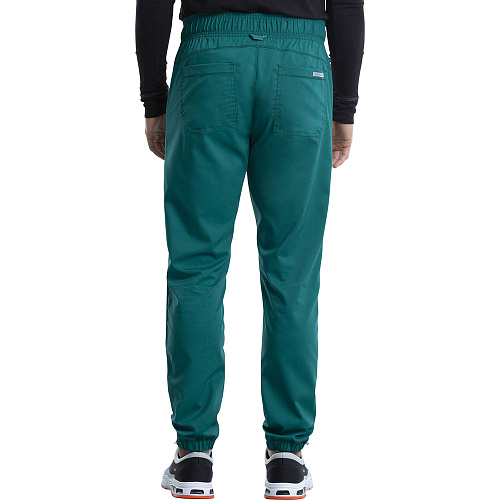 Брюки мужские Cherokee WW012, зеленый,  L